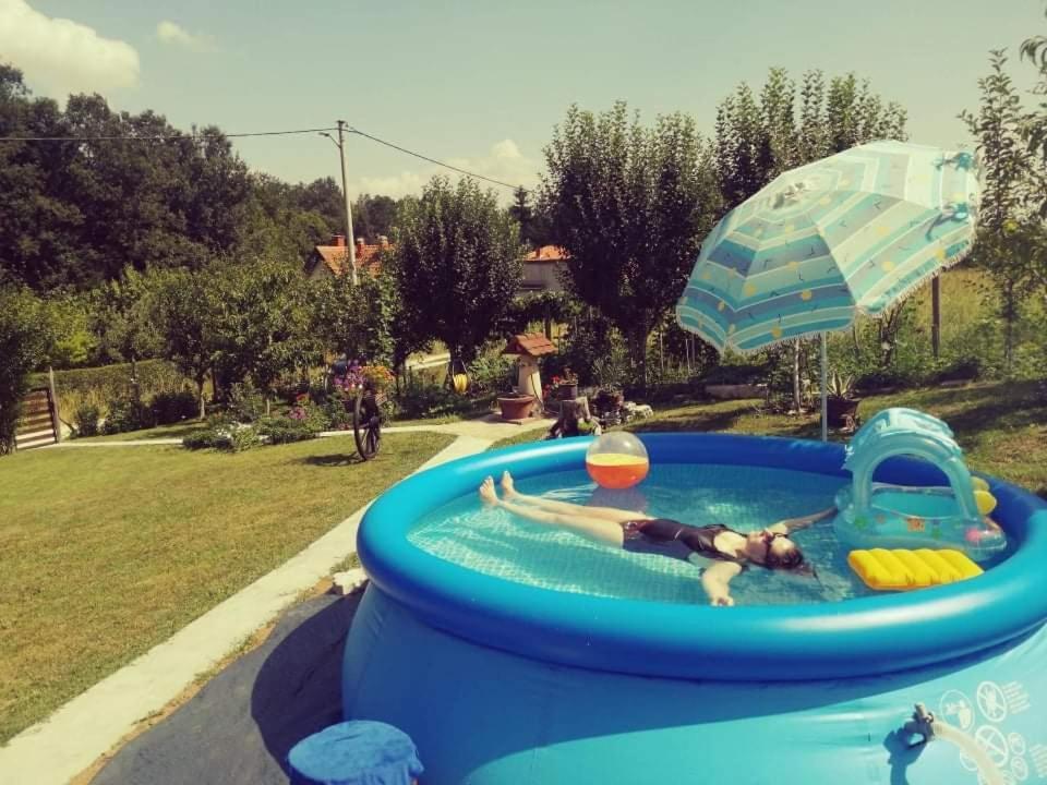 "Porodica Markovic" Borsko Jezero Beljevina Buitenkant foto