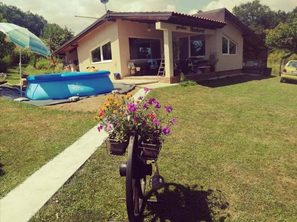 "Porodica Markovic" Borsko Jezero Beljevina Buitenkant foto